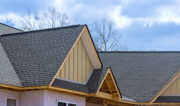 Best Roof Maintenance and Cleaning  in Rehoboth Beach, DE